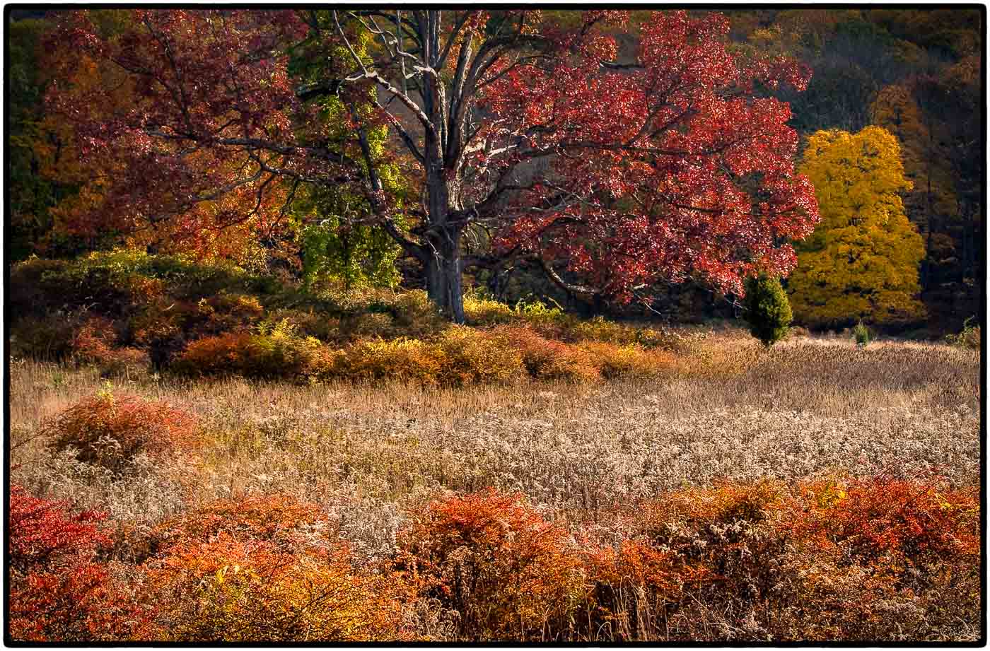 Harriman Fallscape