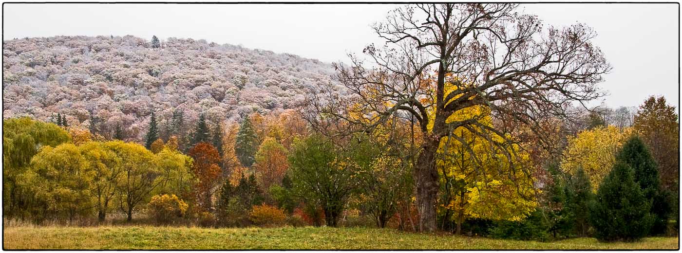 Snow on the Mountain 2