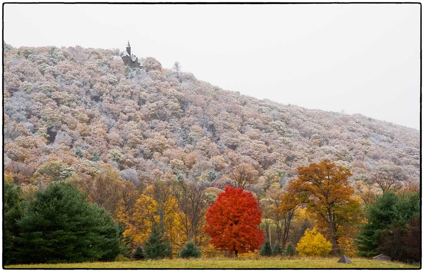 Snow on the Mountain 1