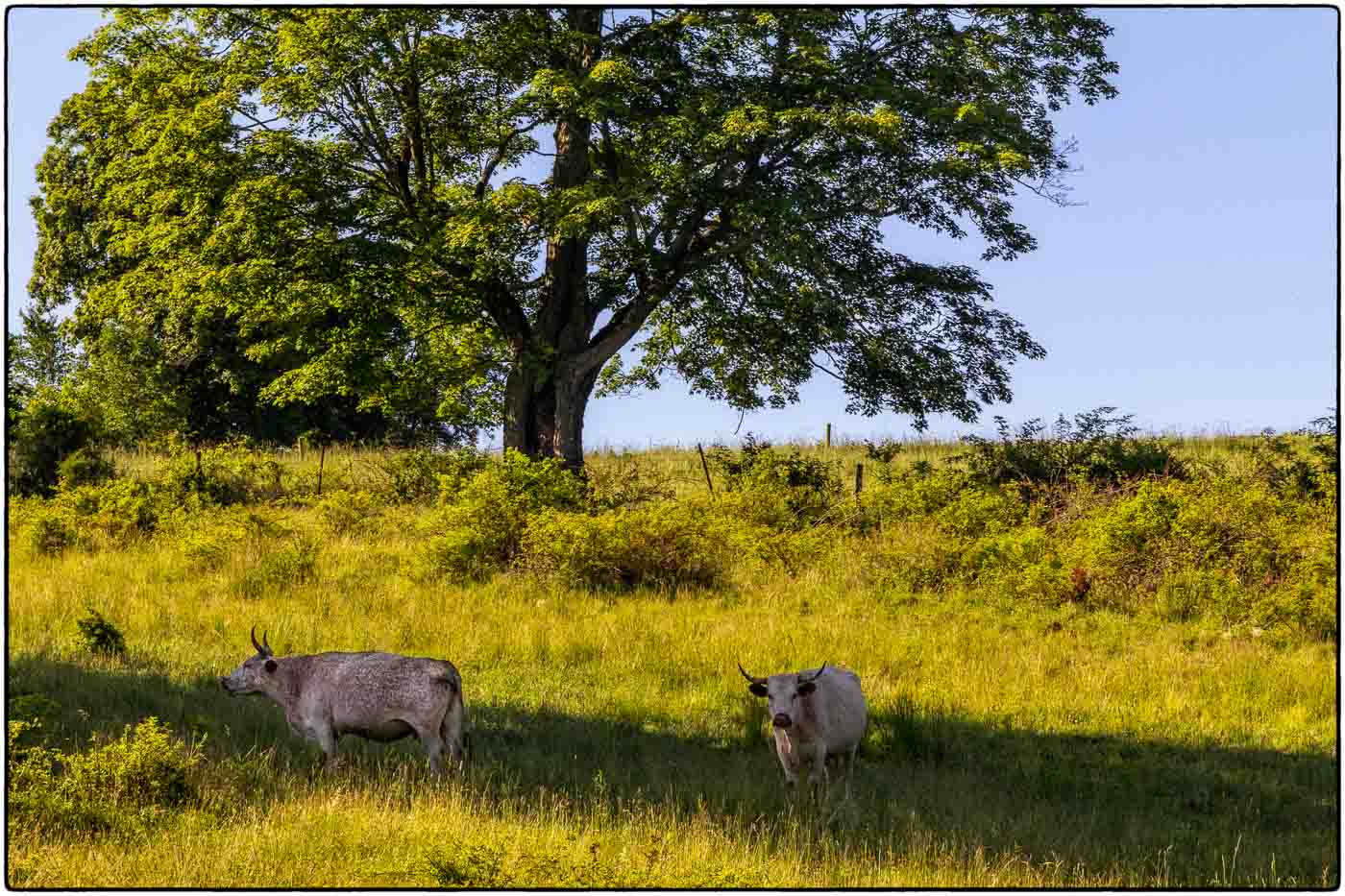 Glynwood Farm