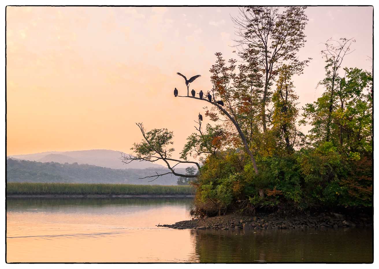 Vulture's Roost
Foundry Cove