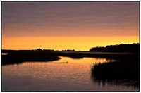 All images © Jane Marcy. All Rights Reserved.      