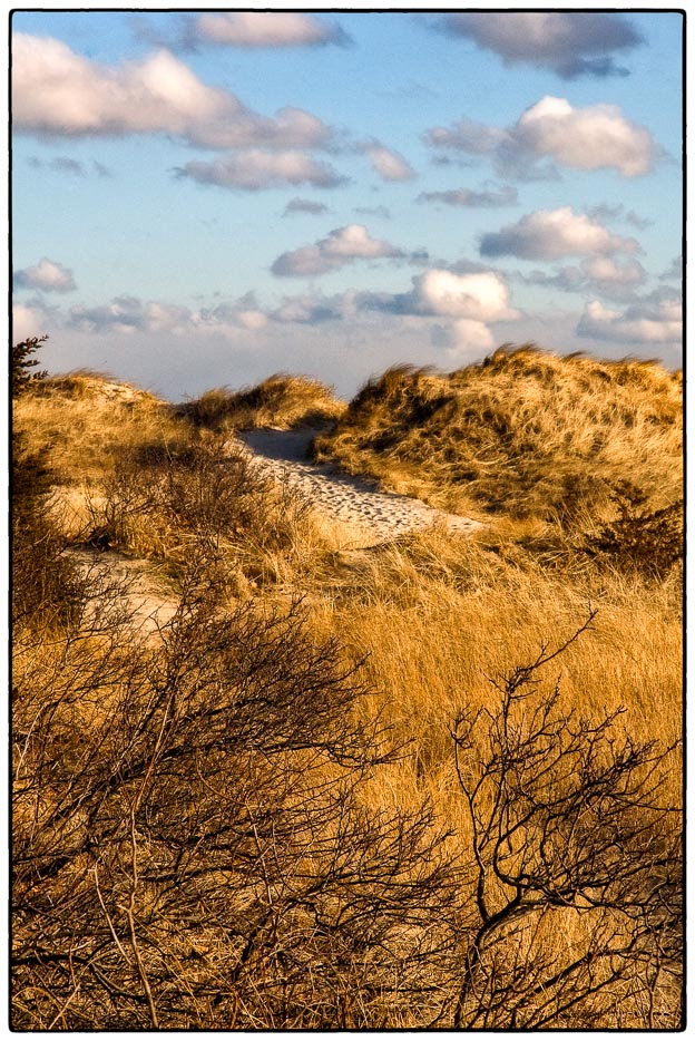 Winter Dune