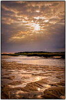 All images © Jane Marcy. All Rights Reserved.      