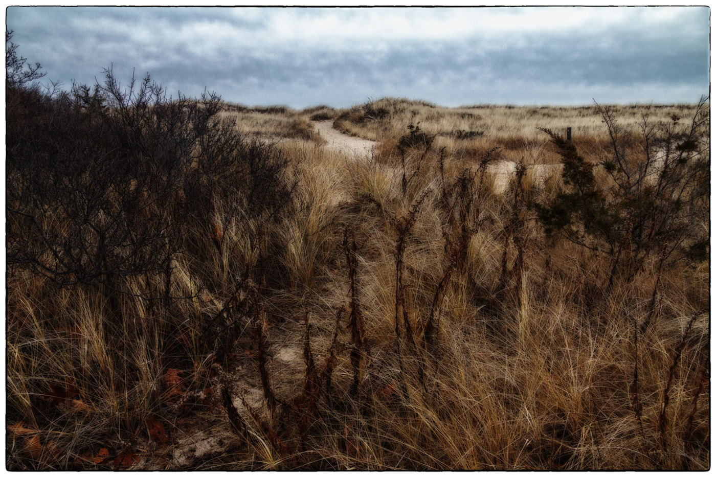 Winter Dune 1