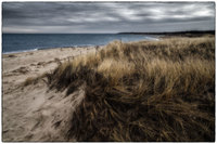 All images © Jane Marcy. All Rights Reserved.      