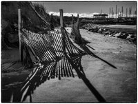 All images © Jane Marcy. All Rights Reserved.      