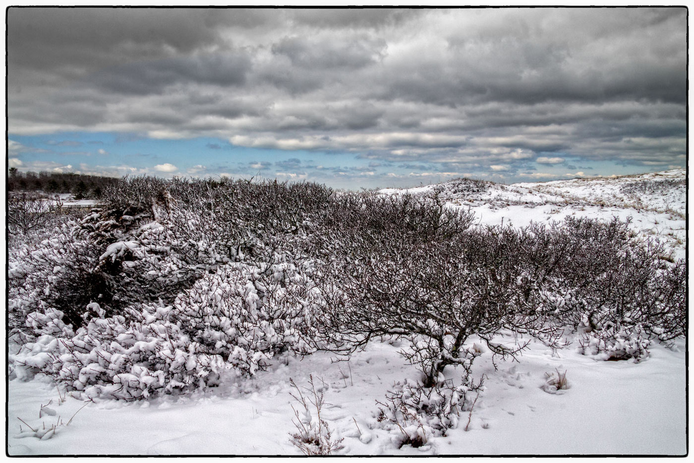 Seaside Winter 2