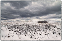 All images © Jane Marcy. All Rights Reserved.      
