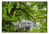 All images © Jane Marcy. All Rights Reserved.      