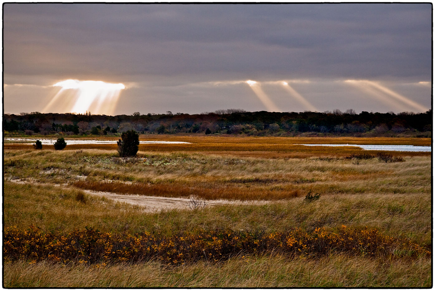 Fall Dawn, Quivett Creek