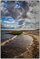 All images © Jane Marcy. All Rights Reserved.      