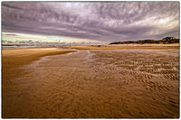 All images © Jane Marcy. All Rights Reserved.      