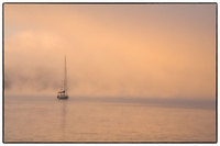 All images © Jane Marcy. All Rights Reserved.      