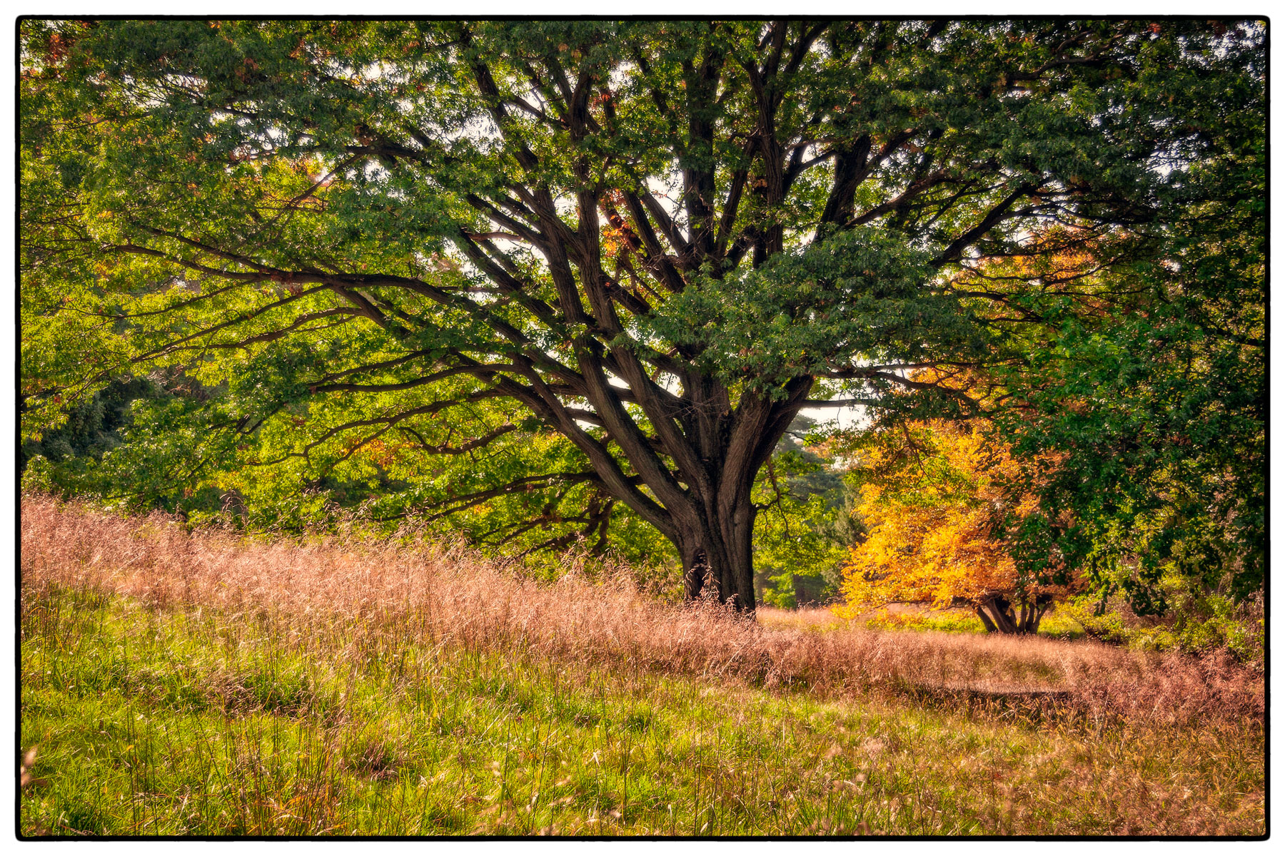 Early Fall at Rockwood Hall