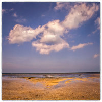All images © Jane Marcy. All Rights Reserved.      