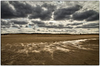 All images © Jane Marcy. All Rights Reserved.      