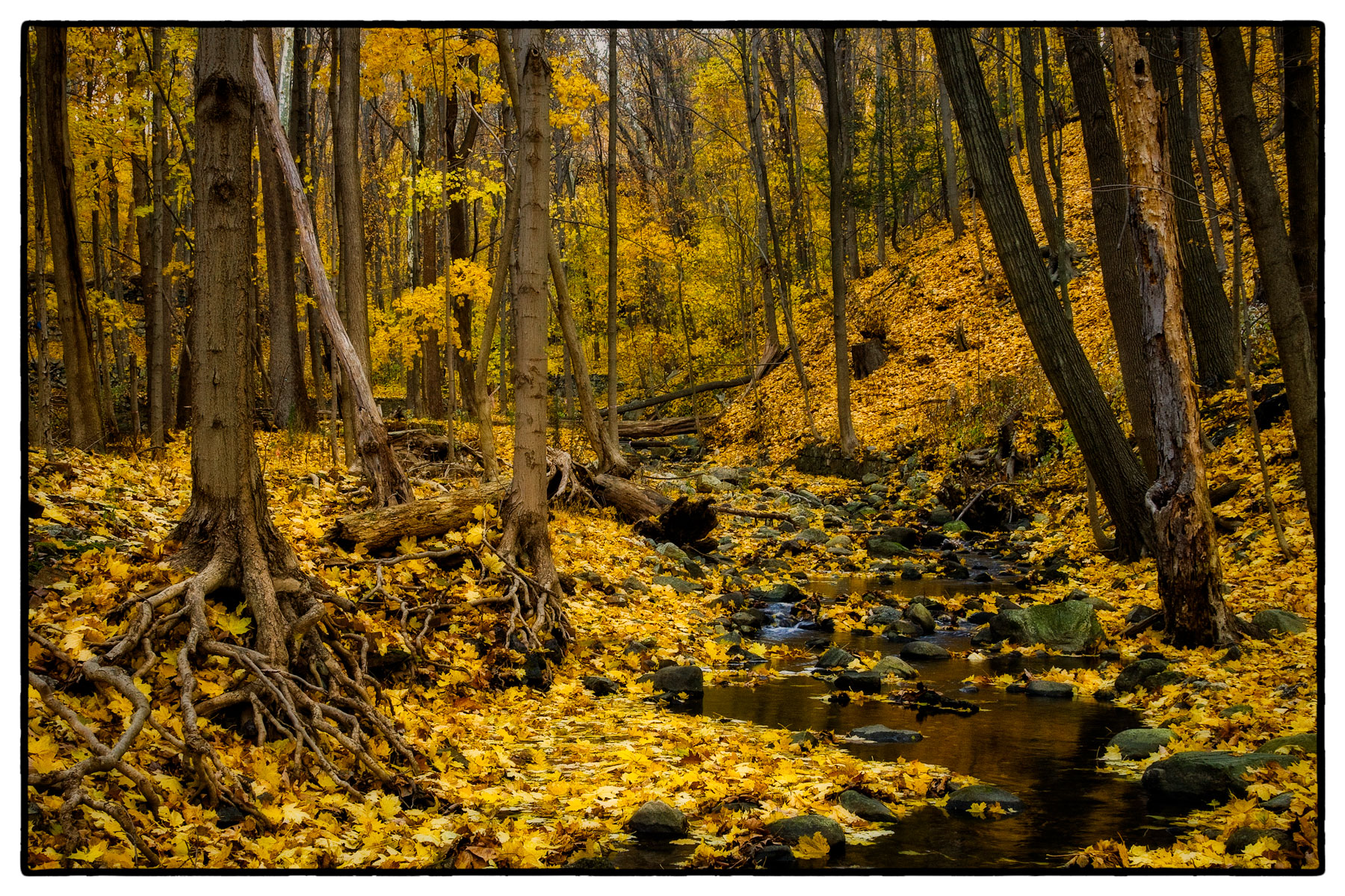 Clove Creek,
Cold Spring