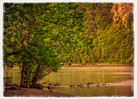 All images © Jane Marcy. All Rights Reserved.      