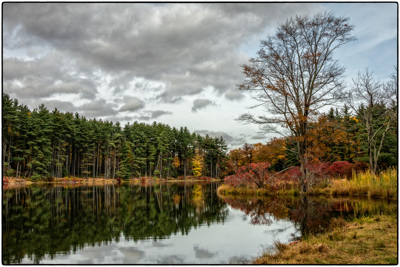 Fall in Harriman 1