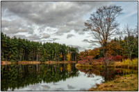 All images © Jane Marcy. All Rights Reserved.      
