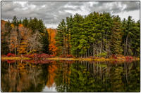 All images © Jane Marcy. All Rights Reserved.      