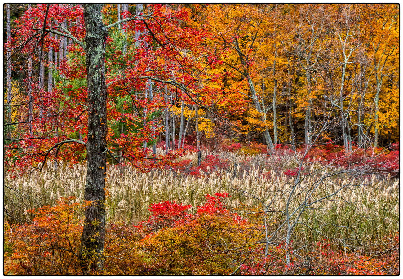 Fall Textures