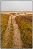 All images © Jane Marcy. All Rights Reserved.      