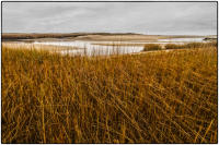 All images © Jane Marcy. All Rights Reserved.      