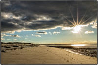 All images © Jane Marcy. All Rights Reserved.      