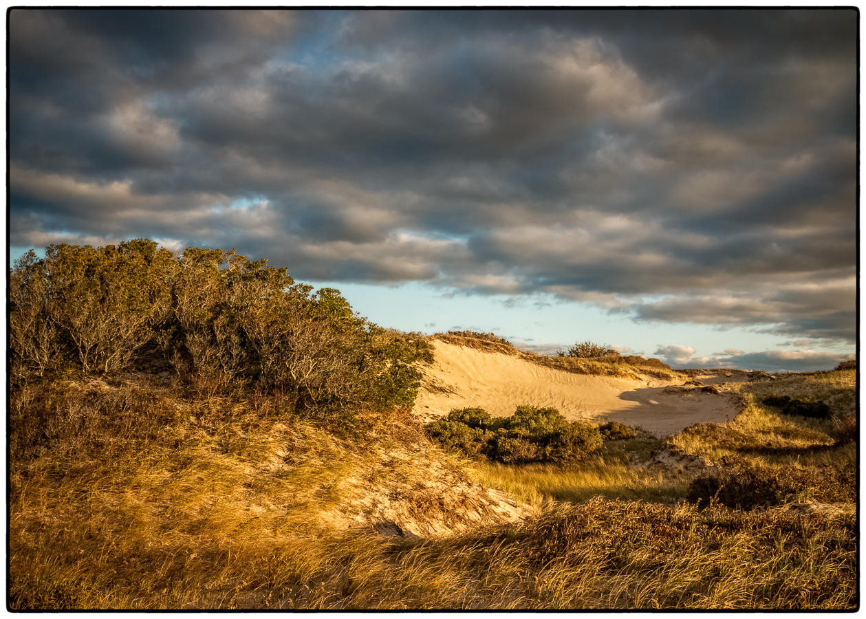 Mystery in the Inner Dunes