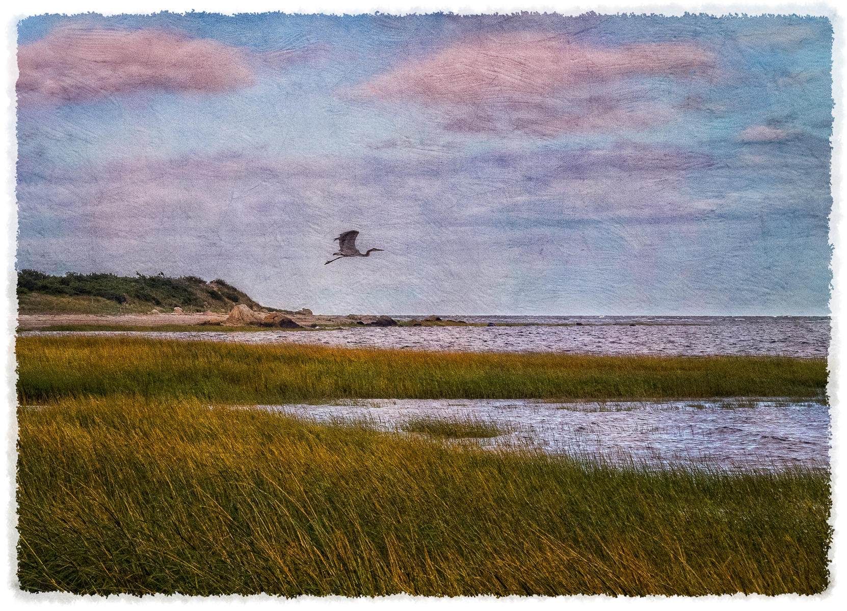 Great Blue Heron at Crowe's Pasture