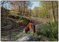 All images © Jane Marcy. All Rights Reserved.      
