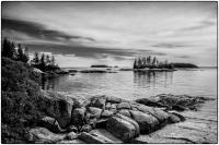 All images © Jane Marcy. All Rights Reserved.      