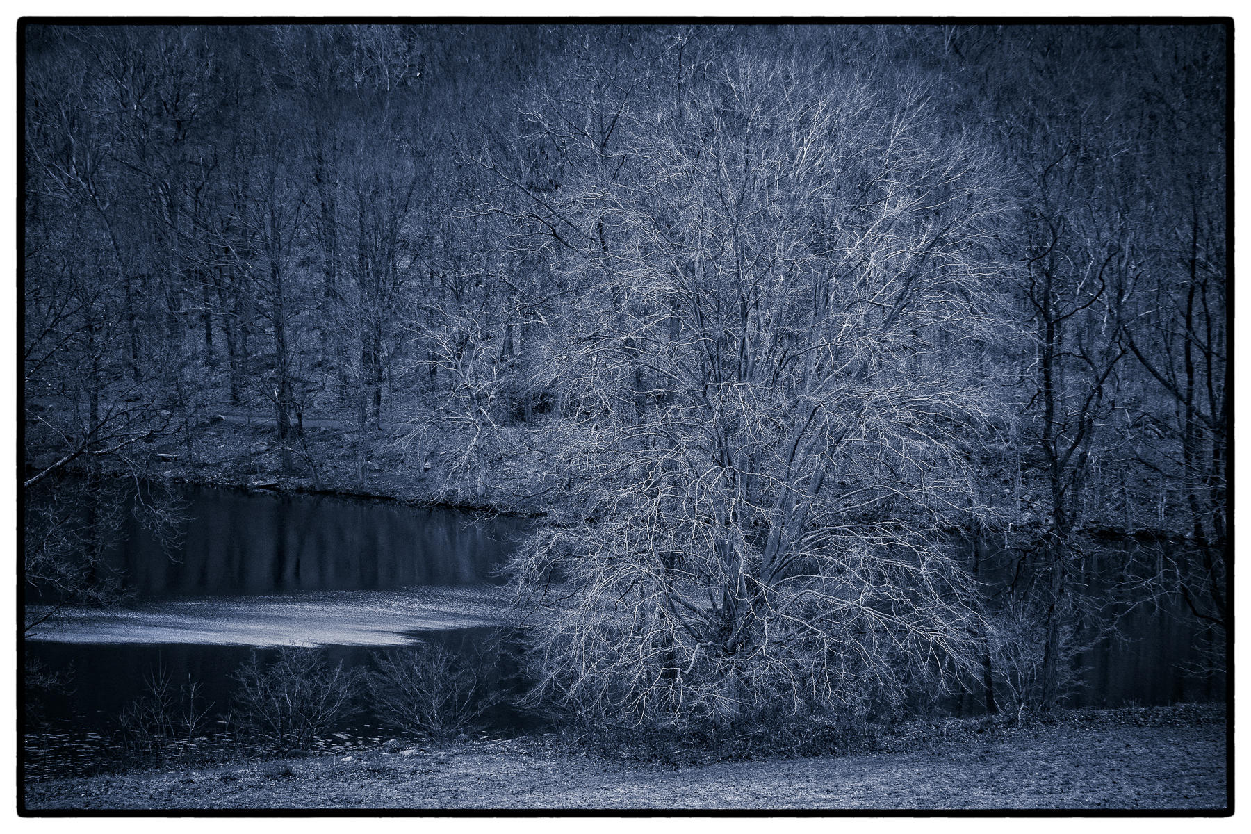 Cool Blue Winter