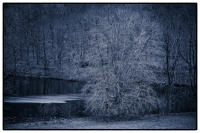 All images © Jane Marcy. All Rights Reserved.      