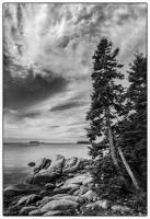 All images © Jane Marcy. All Rights Reserved.      