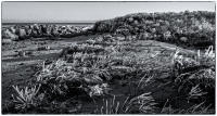 All images © Jane Marcy. All Rights Reserved.      