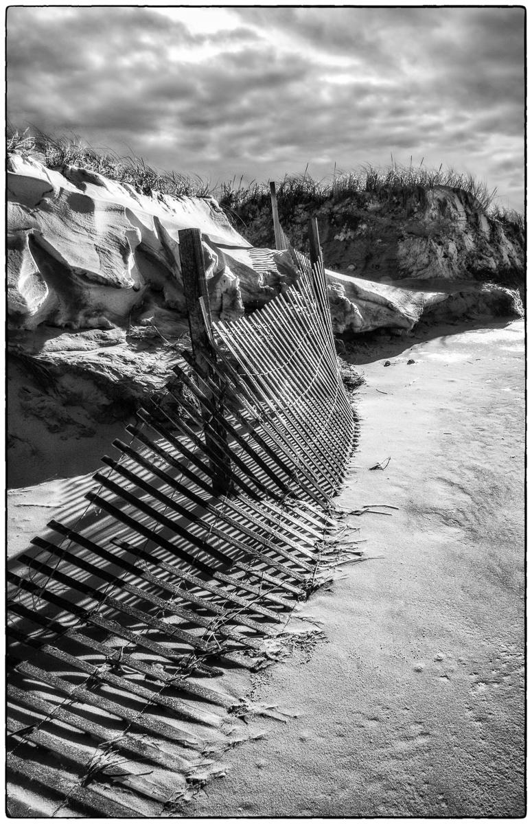 Winter Dunes with Snow Fencing