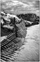 All images © Jane Marcy. All Rights Reserved.      