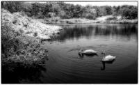 All images © Jane Marcy. All Rights Reserved.      
