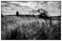 All images © Jane Marcy. All Rights Reserved.      