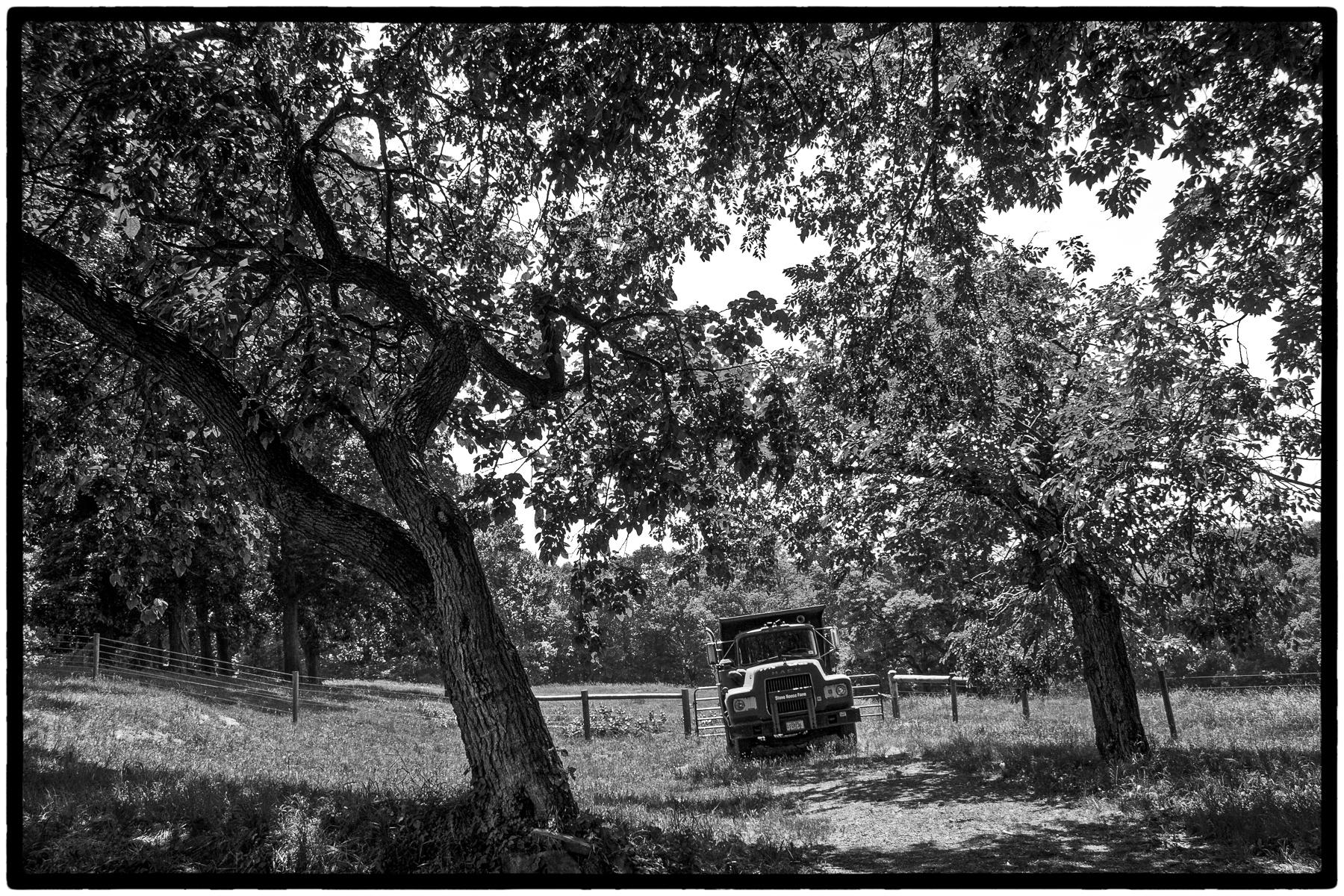 Old Truck