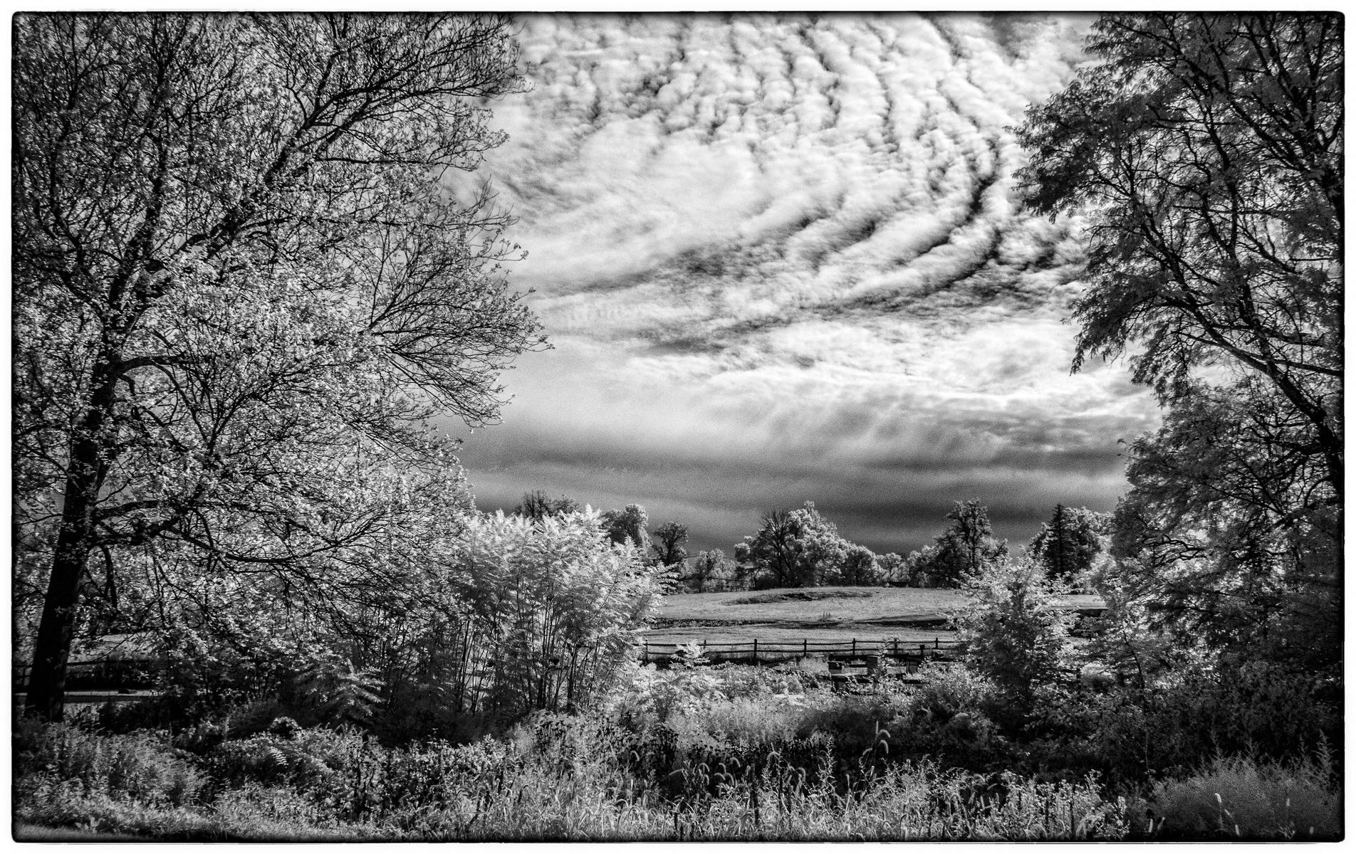 Stone Barn Pasture