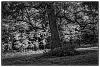 All images © Jane Marcy. All Rights Reserved.      