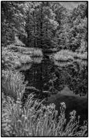 All images © Jane Marcy. All Rights Reserved.      