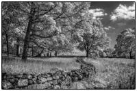 All images © Jane Marcy. All Rights Reserved.      