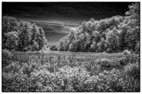 All images © Jane Marcy. All Rights Reserved.      