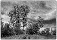 All images © Jane Marcy. All Rights Reserved.      