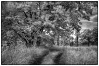 All images © Jane Marcy. All Rights Reserved.      